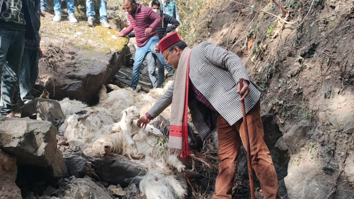 पुरोला विधायक दुर्गेश लाल ने भेडों की अज्ञात बीमारी को लेकर पशुपालन मंत्री सौरभ बहुगुणा से की मुलाकात