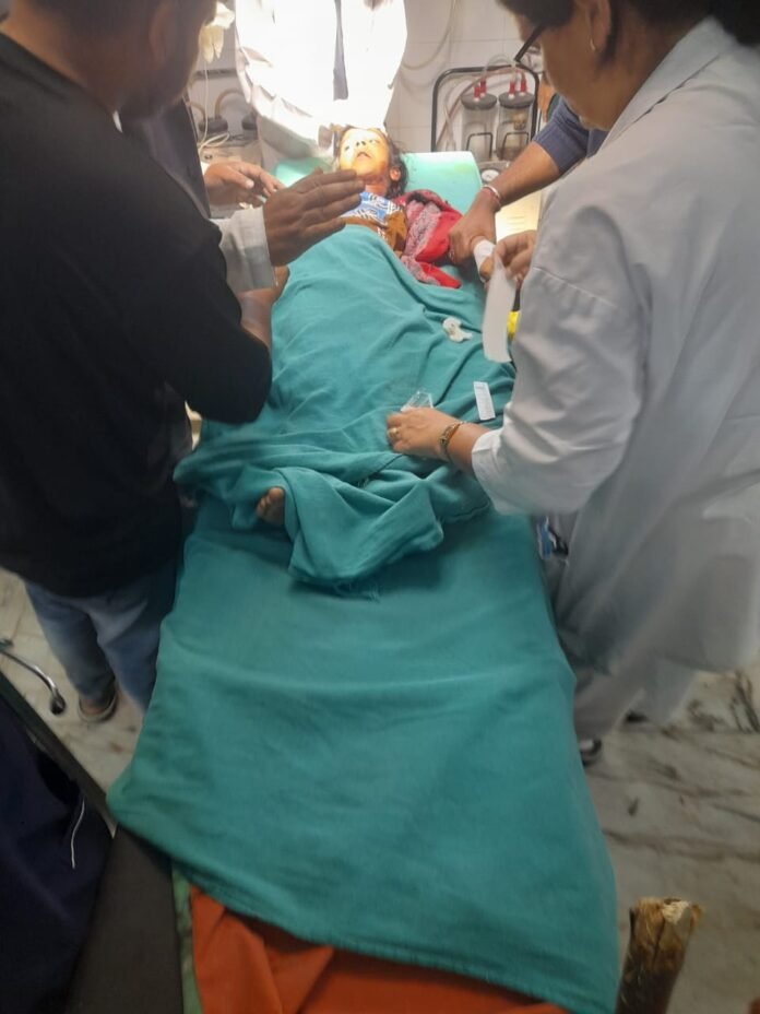 पौड़ी में गुलदार ने बच्ची को उठाया, 100 मीटर दूर झाड़ियों में बेहोश मिली