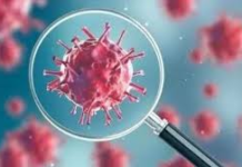 महाराष्ट्र में कोविड-19 के नए उप-रूप ‘FLiRT’ के 91 मामले सामने आए