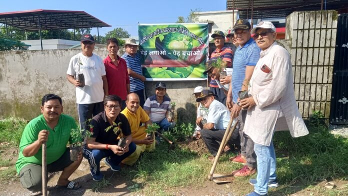 नागरिक कल्याण समिति हाथीबड़कला ने वृक्षारोपण कर मनाया हरेला पर्व ।