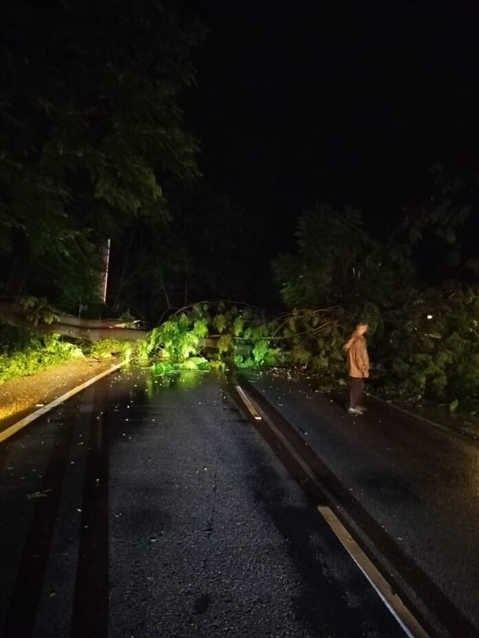 देहरादून में फायर स्टेशन की चार रेस्क्यू कार्रवाइयां, कई लोगों की जान बचाई गई