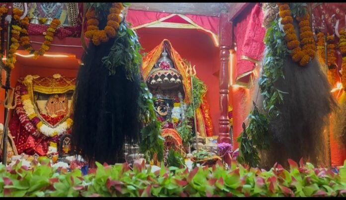 माँ कंसमर्दनी दरबार में नवरात्र के 5 वे दिन सम्पट खुलने के अवसर पर हुआ भव्य पूजा अर्चन । श्रद्धालुओं ने लिया माता का आशीर्वाद ।